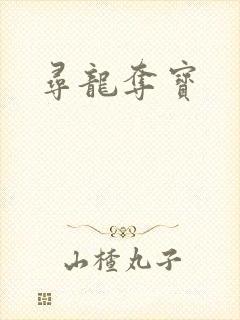 寻龙夺宝