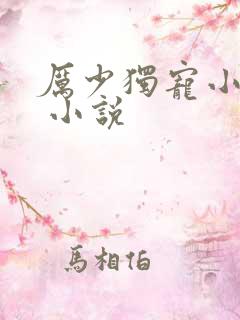 厉少独宠小娇妻 小说