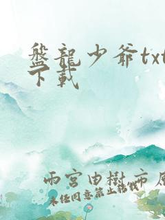 盘龙少爷txt下载