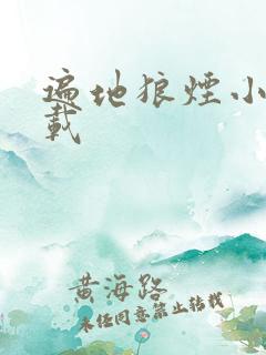 遍地狼烟小说下载