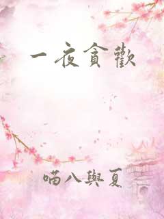 一夜贪欢