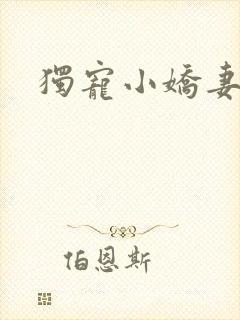 独宠小娇妻