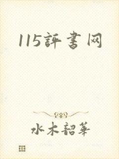 115评书网