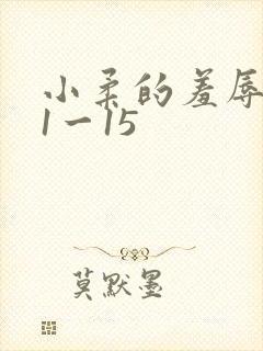 小柔的羞辱日记1一15