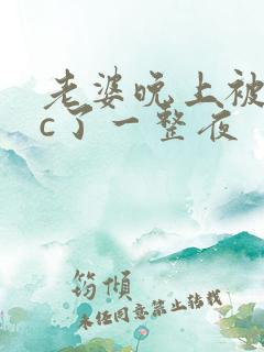 老婆晚上被躁狂c了一整夜