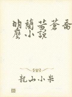 明兰若苍乔是什么小说