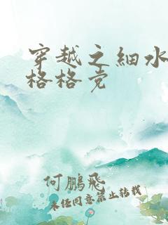 穿越之细水长流格格党