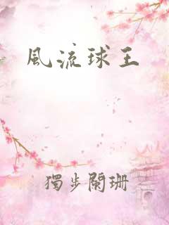 风流球王