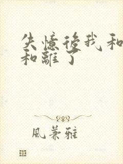 失忆后我和王爷和离了