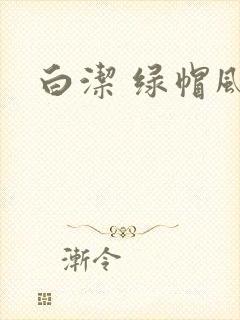白洁 绿帽风云