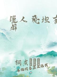 猎人 飞坦有洁癖