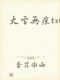 大雪无痕txt