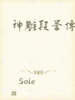 神雕段誉传