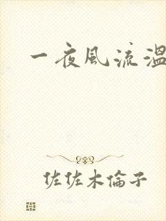 一夜风流温暮生