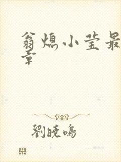 翁熄小莹最新节章