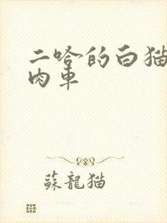 二哈的白猫师尊肉车
