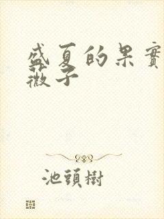 盛夏的果实 小薇子
