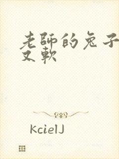 老师的兔子又大又软