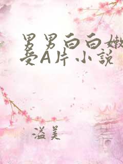 男男白白嫩嫩小受A片小说