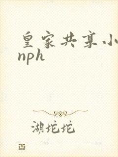 皇家共享小公主nph