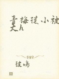 青梅从小被弄到大h