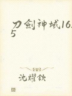 刀剑神域16.5
