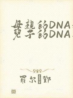 母亲的DNA和儿子的DNA是一样的吗