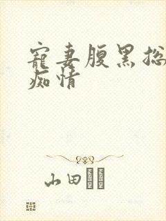 宠妻腹黑总裁太痴情