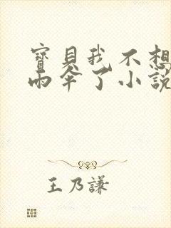 宝贝我不想带小雨伞了小说