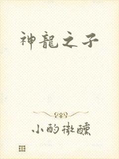 神龙之子