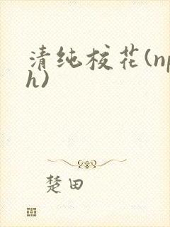 清纯校花(nph)
