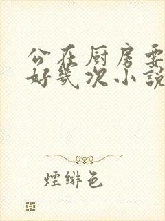 公在厨房要了我好几次小说