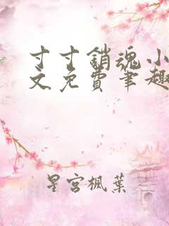 寸寸销魂小说全文免费笔趣阁