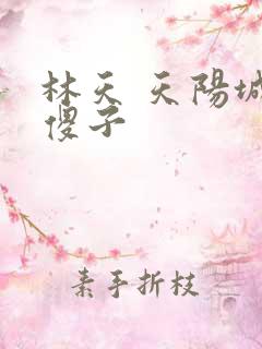 林天 天阳城 傻子