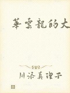 华云龙的大宝贝