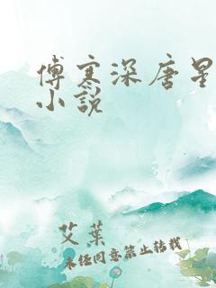 傅寒深唐星挽的小说