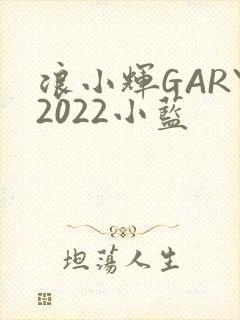 浪小辉GARY2022小蓝