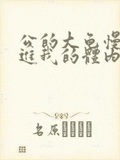 公的大龟慢慢挺进我的体内视频