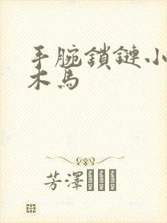 手腕锁链小黑屋木马