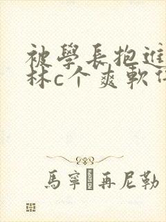 被学长抱进小树林c个爽软件