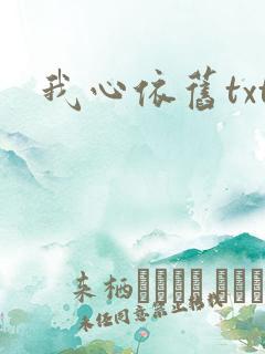 我心依旧txt