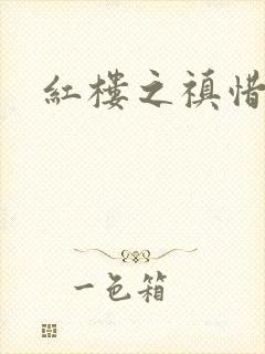 红楼之禛惜黛玉