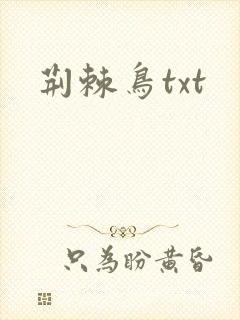 荆棘鸟txt