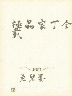 极品家丁全集下载