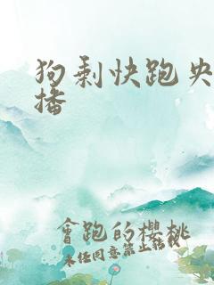 狗剩快跑央八首播