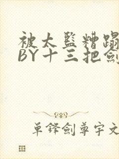 被太监糟蹋之后BY十三把剑