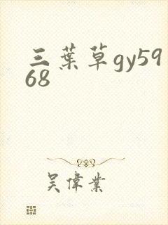 三叶草gy5968
