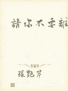 请你不要离开我