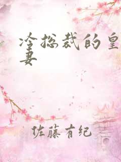 冷总裁的皇后暖妻