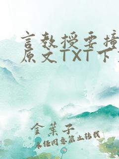 言教授要撞坏了原文TXT下载